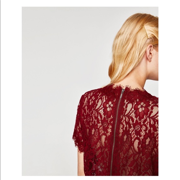 Zara Lace Top - Picture 5 of 8